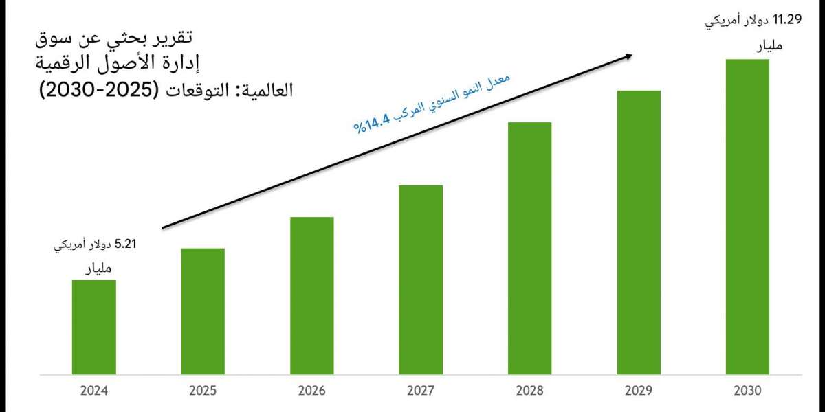 قيمة سوق إدارة الأصول الرقمية ونطاقها وتوقعات نموها حتى عام ٢٠٣٠